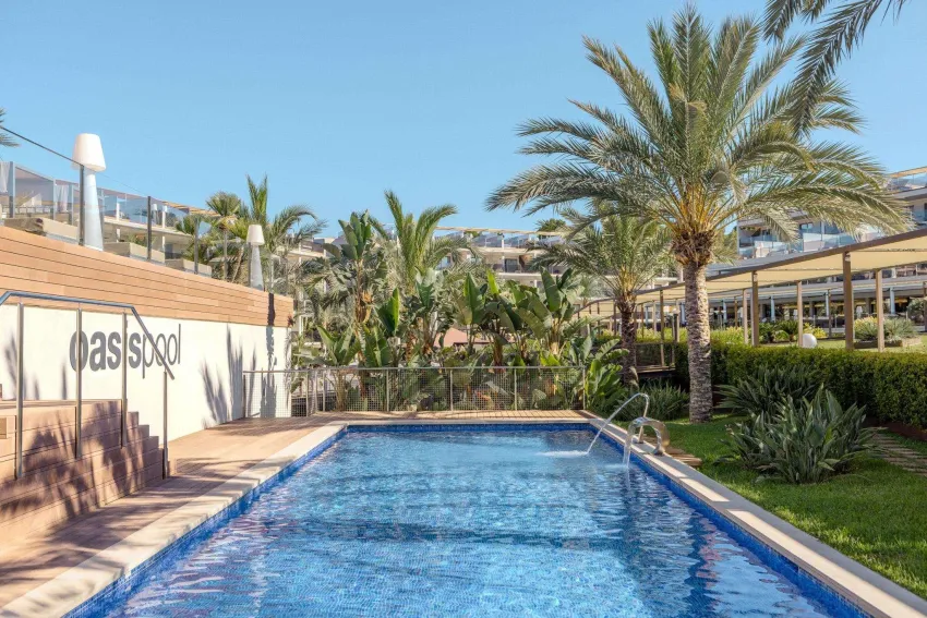 Zafiro Palace Palmanova 5*-164