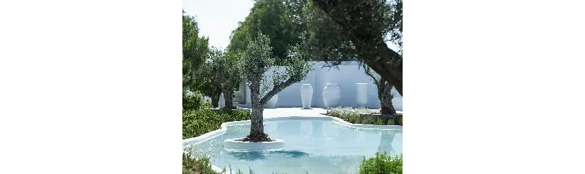 Knossos Beach Bungalows Suites Resort and Spa 4*-12