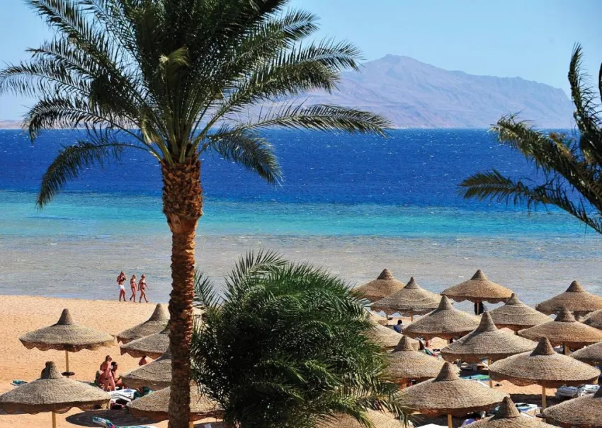 BARON PALMS (ADULTS ONLY 16+)  5*-13