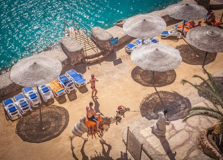 Sunny Days El Palacio Resort & Spa 4*-2