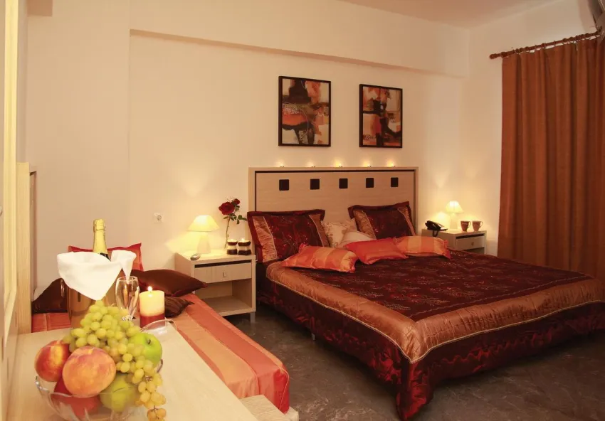 Nancy Hotel 3*-8