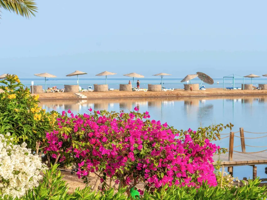 Movenpick Resort And Spa El Gouna 5*-16