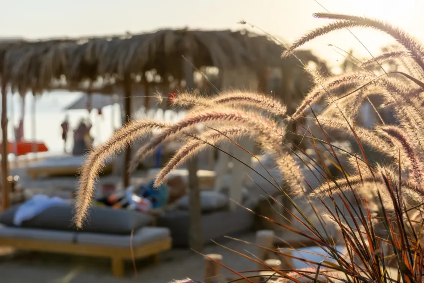 Fort Arabesque Resort, Spa and Villas 4*-199