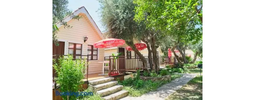 Clover Magic Nova Beach ( Ex.Nova Beach Hotel) 3*-38