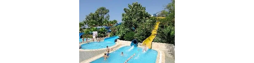 Delphin Botanik Hotel 5*-10