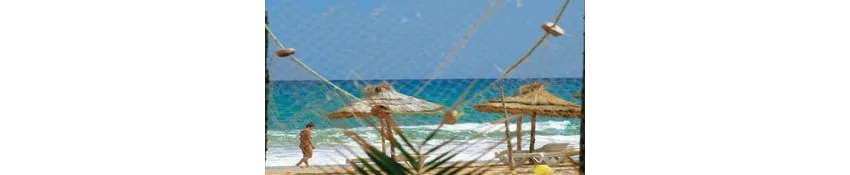 Mehari Hammamet 5*-115