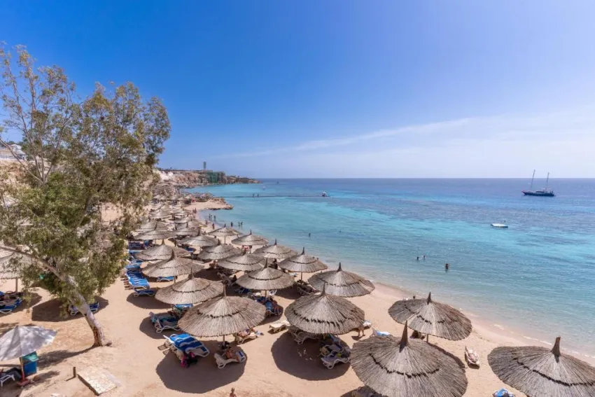 CLUB FARAANA REEF  4*-121