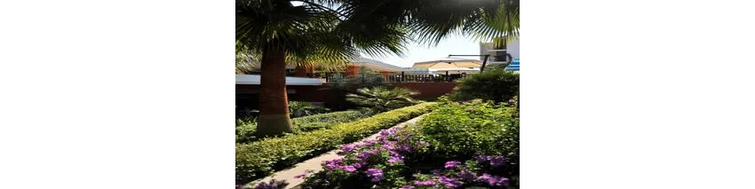 Barut B Suites Hotel 4*-92