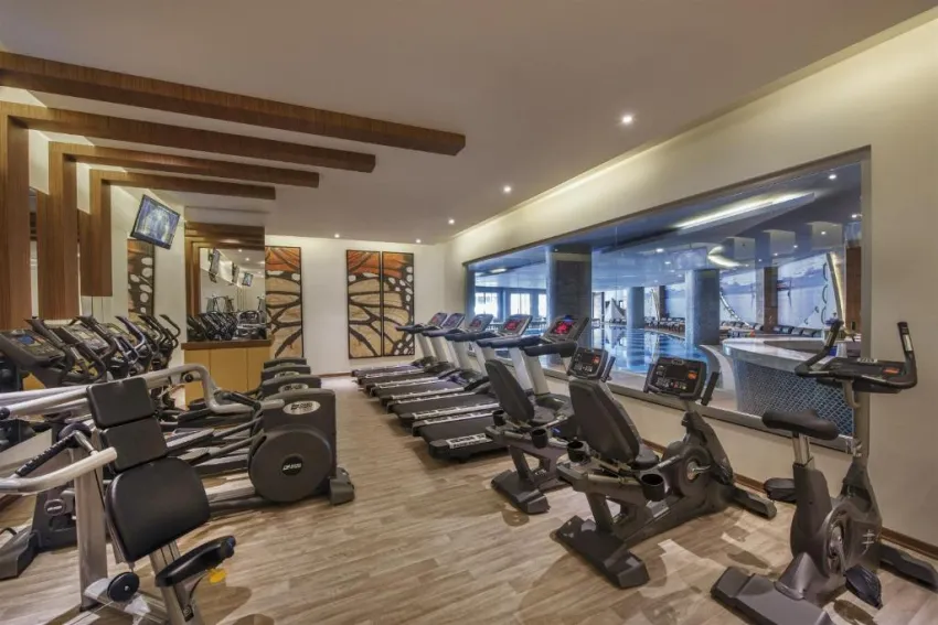 DELPHIN BOTANIK PLATINIUM HOTEL  5*-12