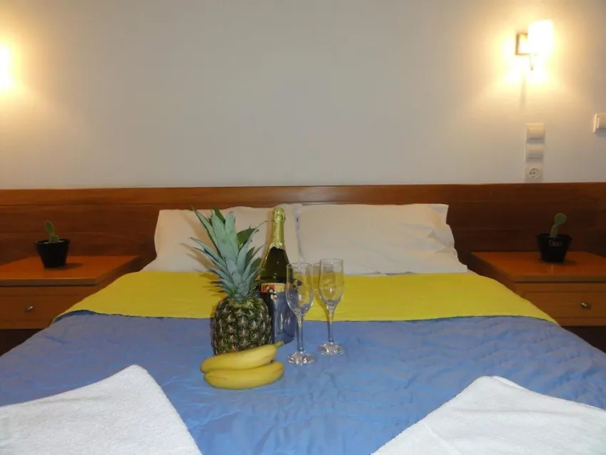 Eleni Palace Apts 3*-14