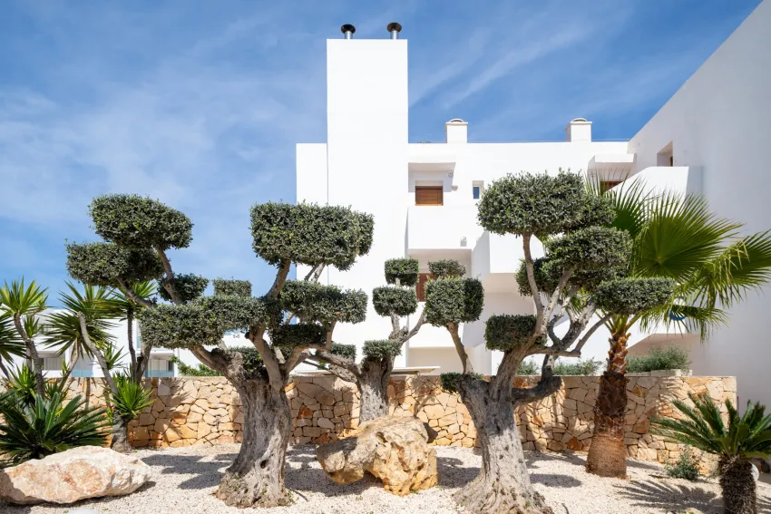 Marsenses Ferrera Blanca Adults Only 4*-38