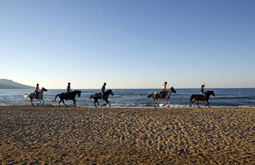 Orpheas Resort Hotel Adults Only 16+ 4*-153