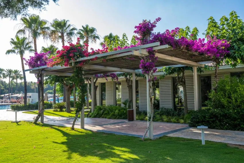 Lara Barut Collection 5*-57