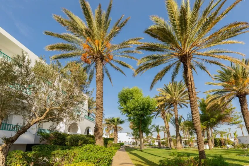 EL MOURADI PORT EL KANTAOUI  4*-3