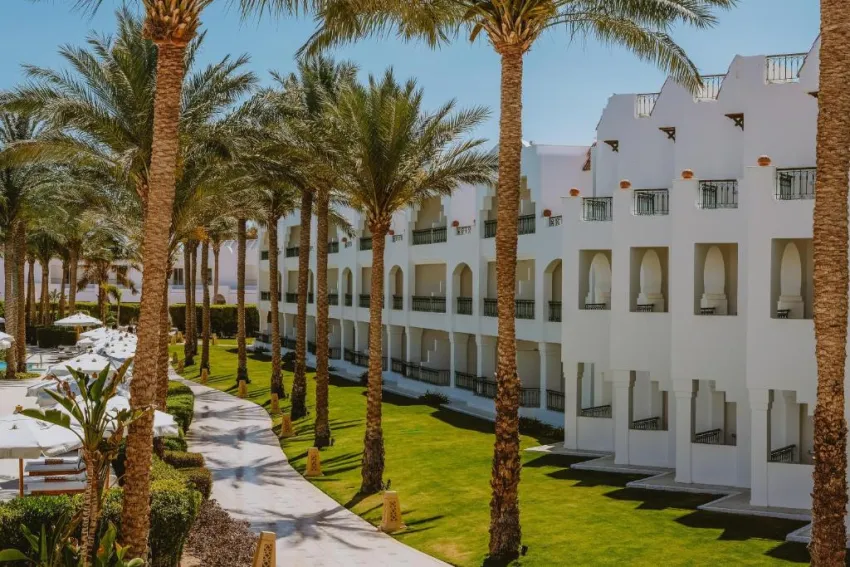 BARON PALMS (ADULTS ONLY 16+)  5*-14