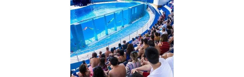 Daima Biz Resort Hotel 5*-19