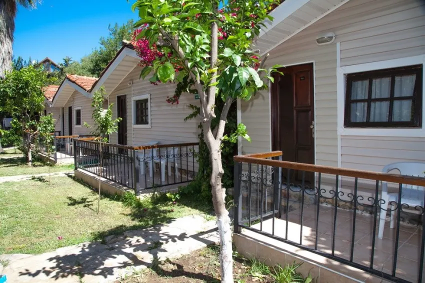 Leda Beach Hotel 3*-7