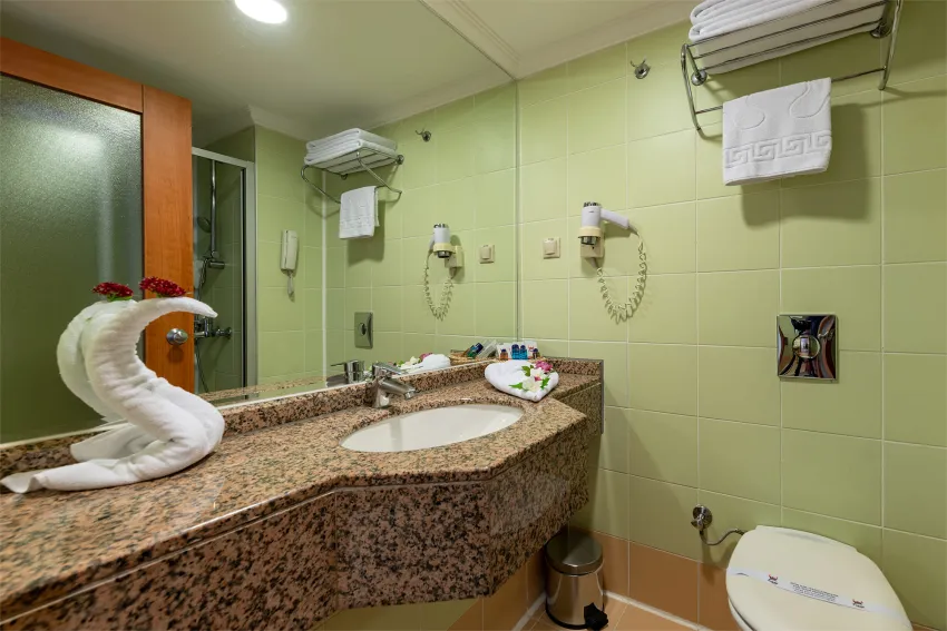 Viking Park Hotel 4*-12