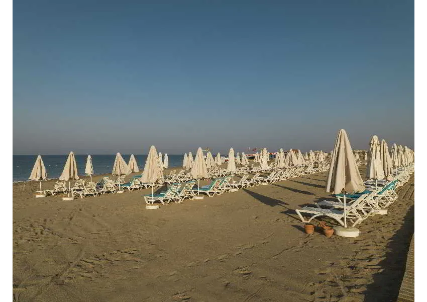 Sultan Of Dreams 5*-73