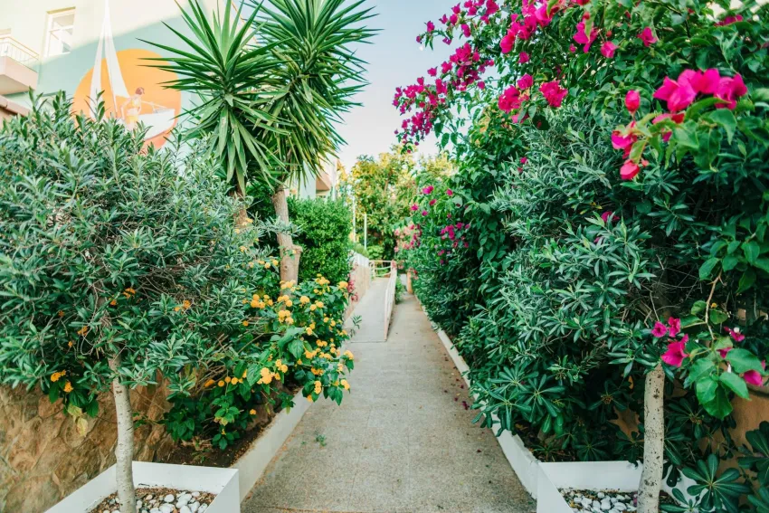 4U Miranda - Only Adults 3*-5