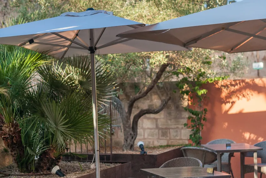 Alcudia Petit Hotels 3*-82