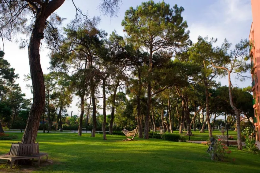 The Norm Oriental 5*-4