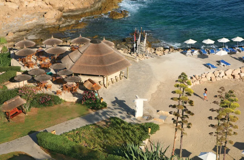 Cynthiana Beach 3*-19