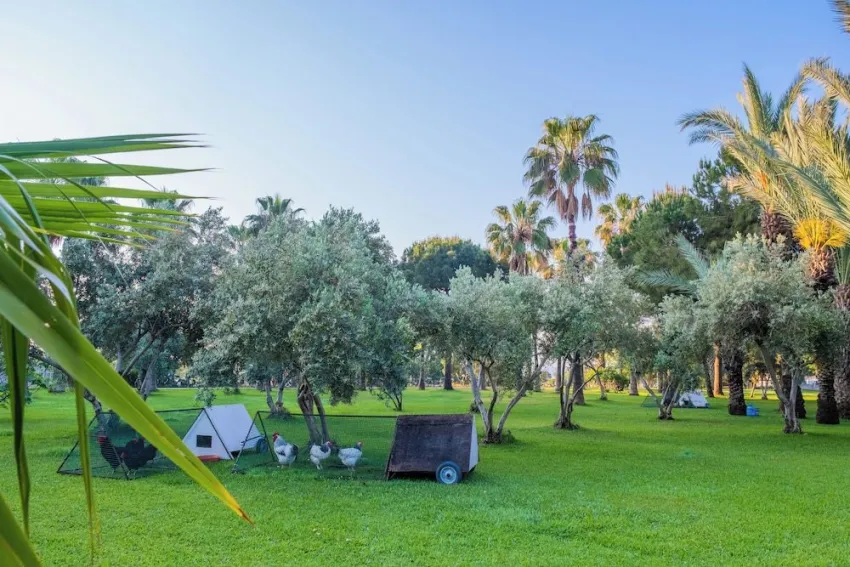 Sural Hotel 5*-61
