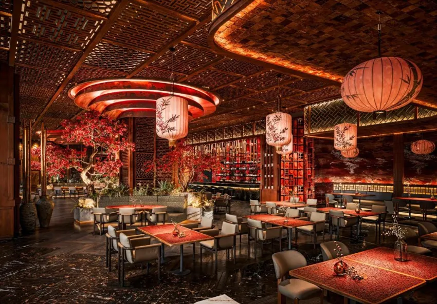 Regnum The Crown 5*-11