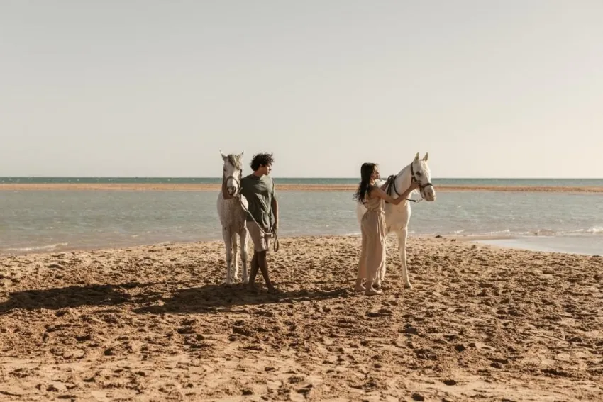 CASA COOK EL GOUNA (ADULTS ONLY 16+)  5*-26