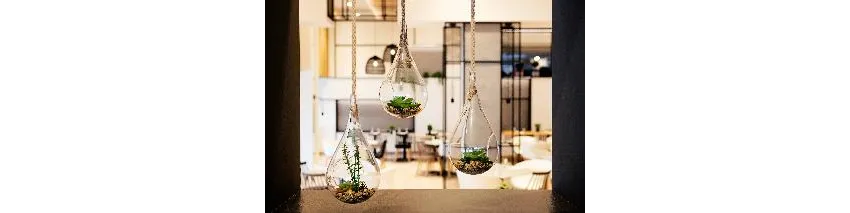 Cyprotel Faliraki 4*-101