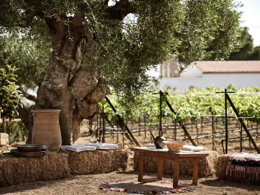 Lesante Cape Resort and Villas 5*-18