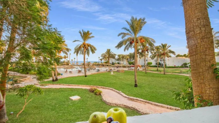 DOMINA CORAL BAY OASIS  5*-15