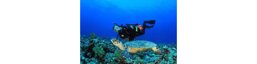 Herodotos Studios 3*-31