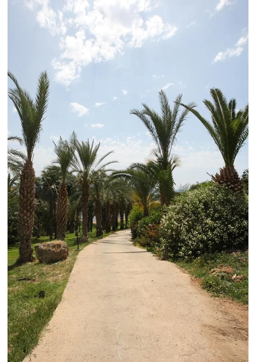 Ascos Coral Beach Hotel 4*-7