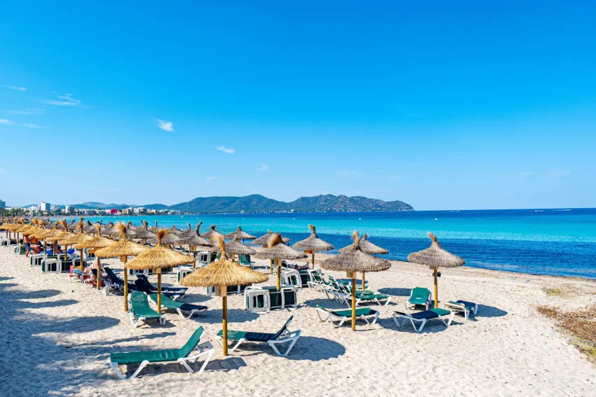 Intelier Rosella 4*-26