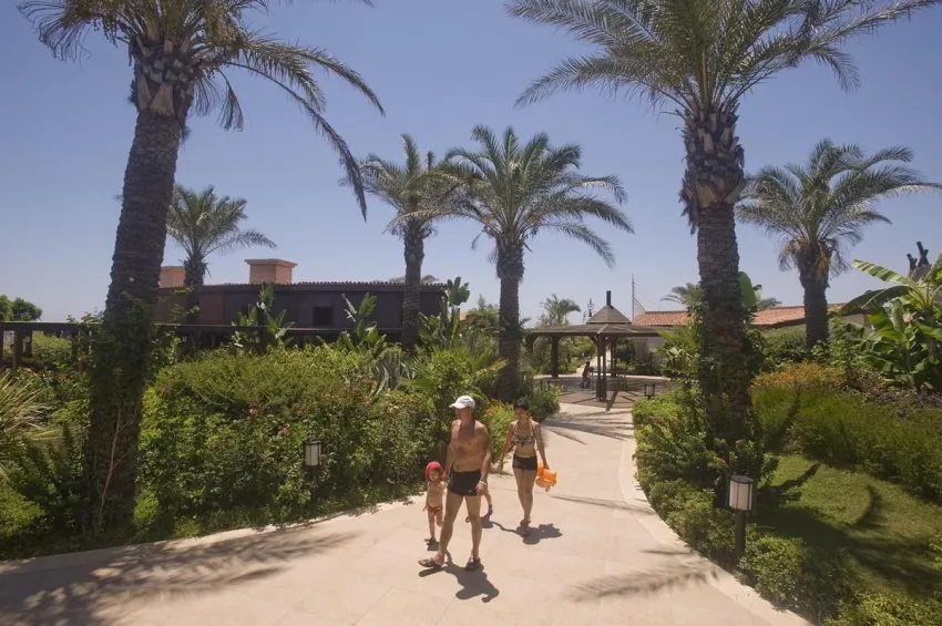 Crystal Family Comfort Collection 5*-8