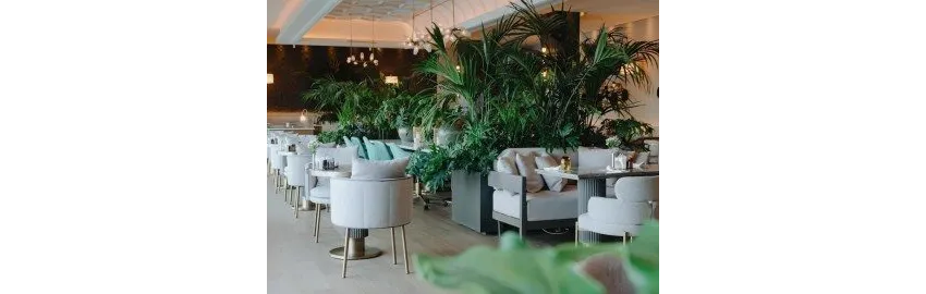 Akra Antalya (Ex.Akra Hotel) 5*-4