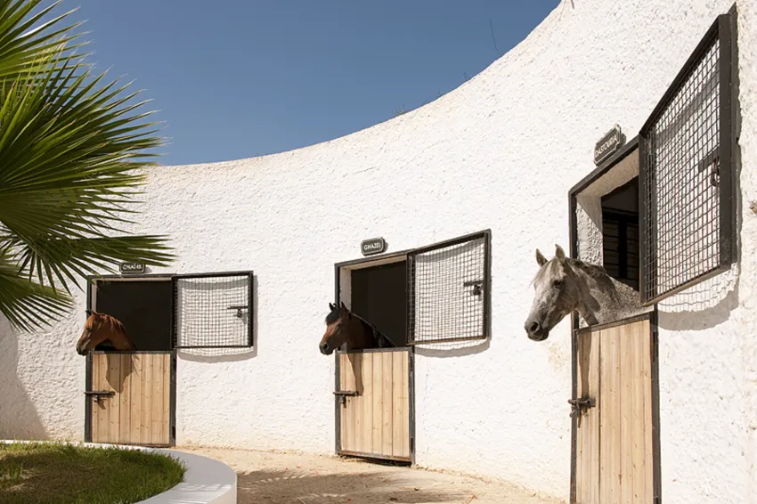 Sentido Phenicia 4*-13