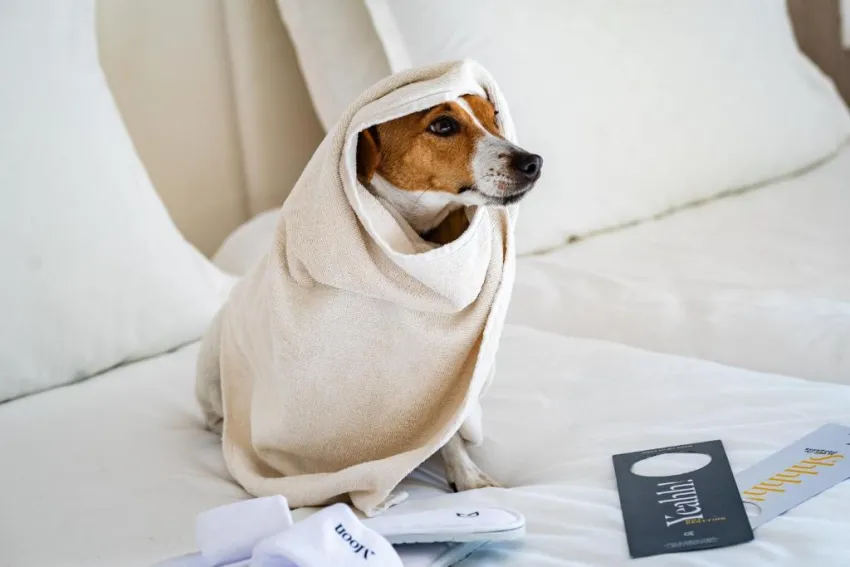 GOLDEN TULIP PRESIDENT HAMMAMET  4*-31