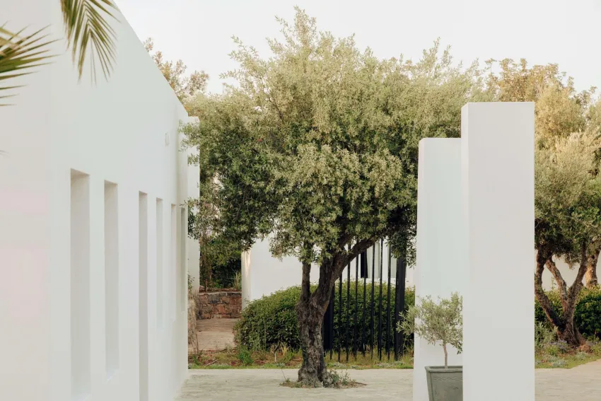 Minos Beach Art Hotel 5*-5