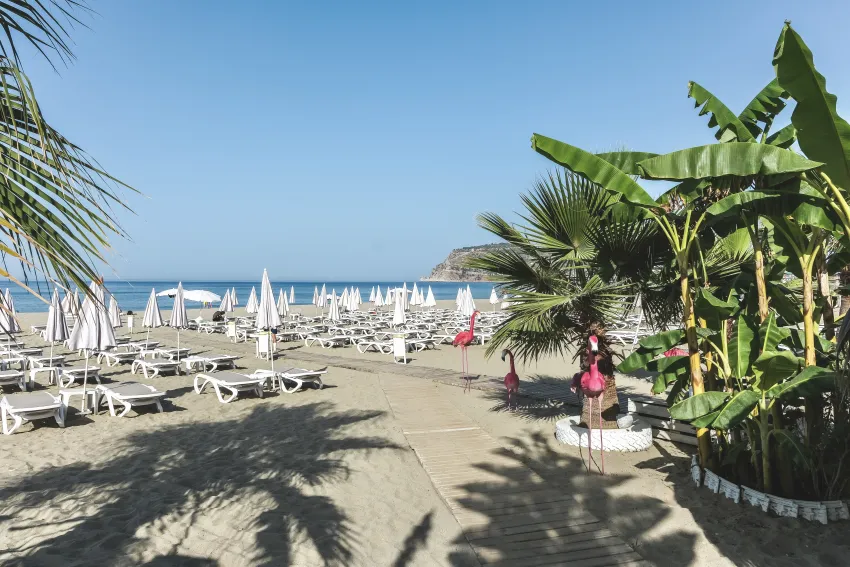 Blue Wave Suit Hotel 4*-37