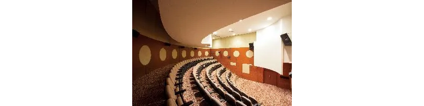 Paloma Sencia ( Ex Cornelia Deluxe Resort) 5*-49