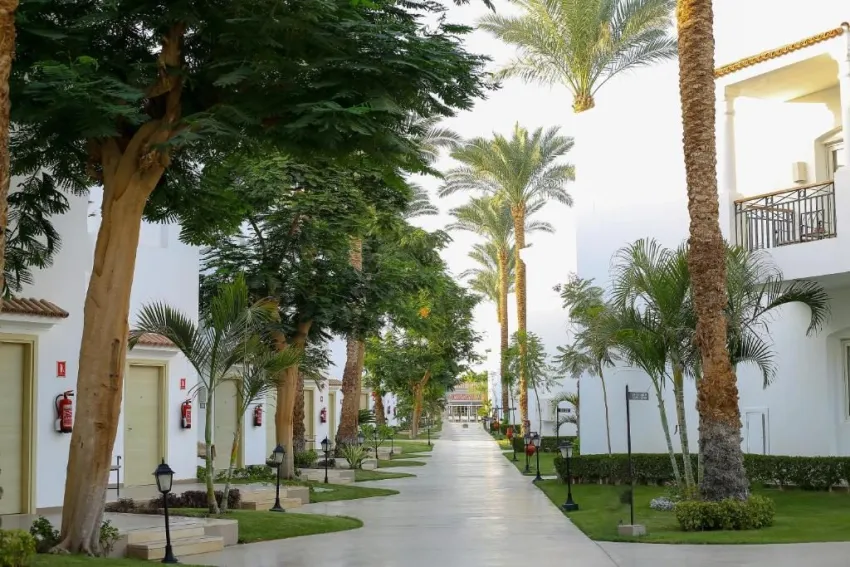 Jaz Fanara Resort & Residence 4*-7