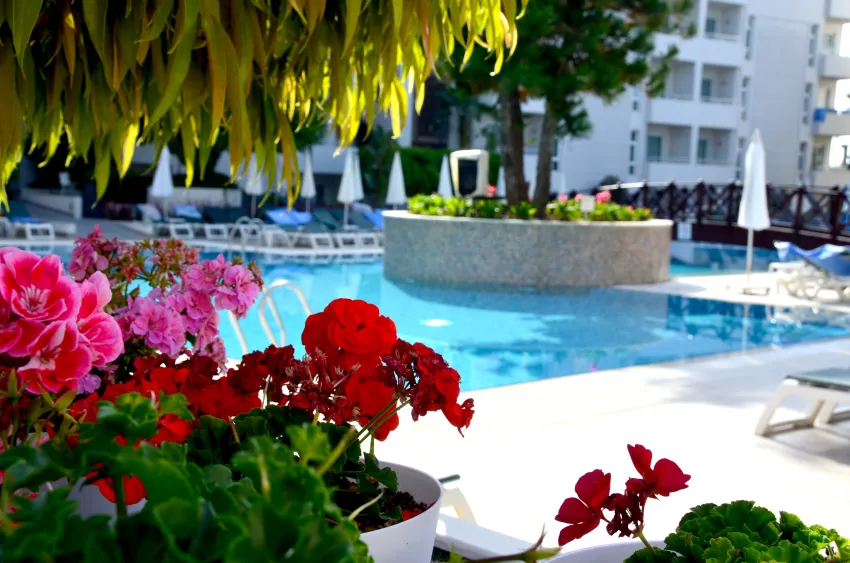Calimera Side Resort 4*-7