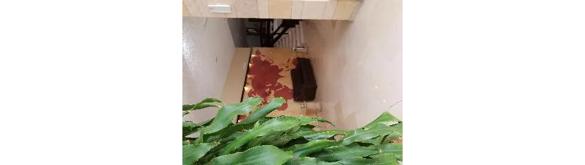 Europa Hotel 3*-50