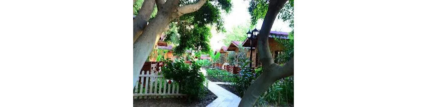 Hotel Sevkibey 3*-31