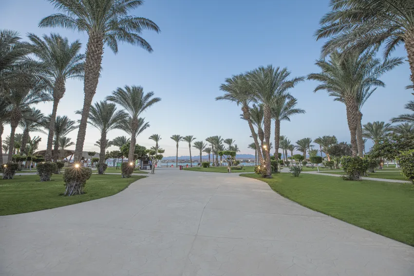 Pyramisa Sahl Hasheesh Beach Resort 5*-6