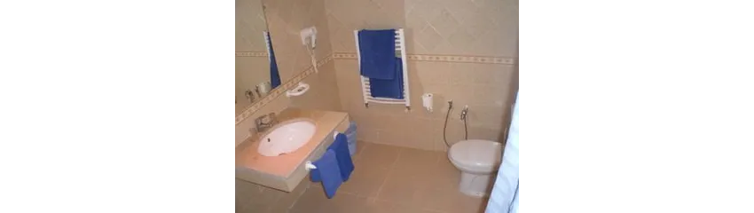 Hotel Les Palmiers 2*-20