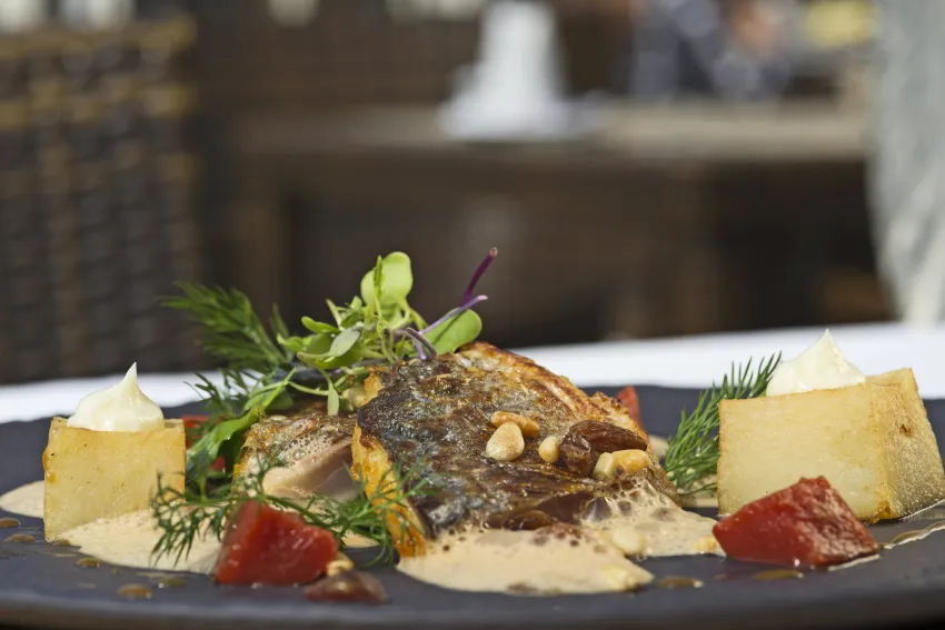 Lindner Hotel Mallorca Portals Nous 4*-81